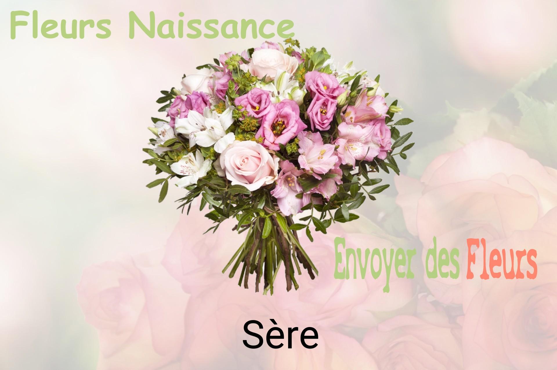 Bouquet de fleurs de naissance livré à Sère