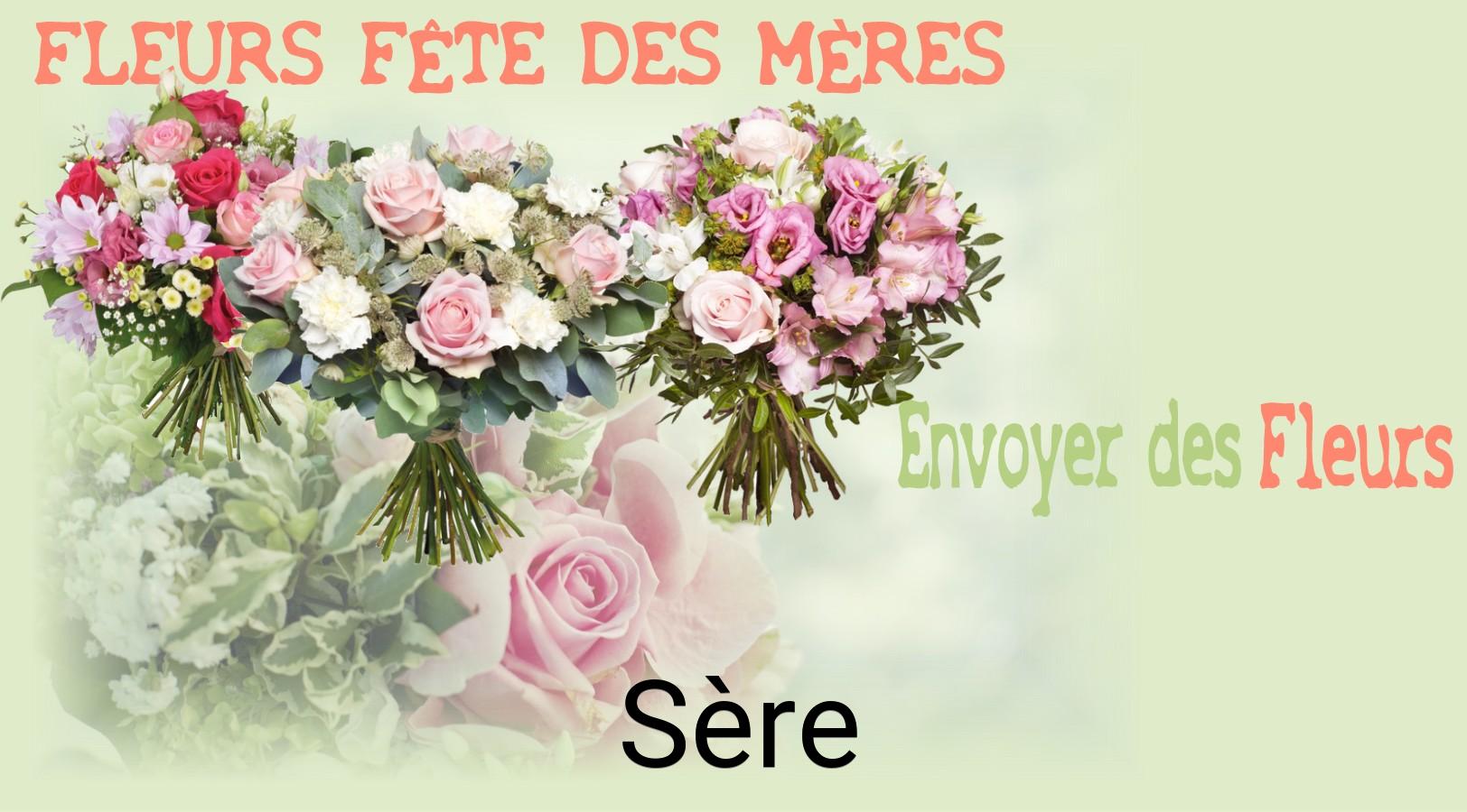 Bouquet de Fête des Mères livré à Sère